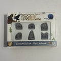 Animal Adventures: Cats & Catacombs - Questing Tooth & Claw Volume 1