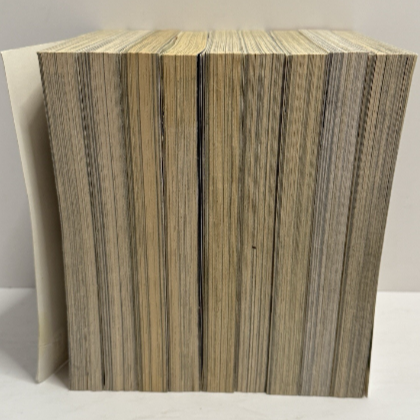 Saiyuki Manga Vol. 1-9